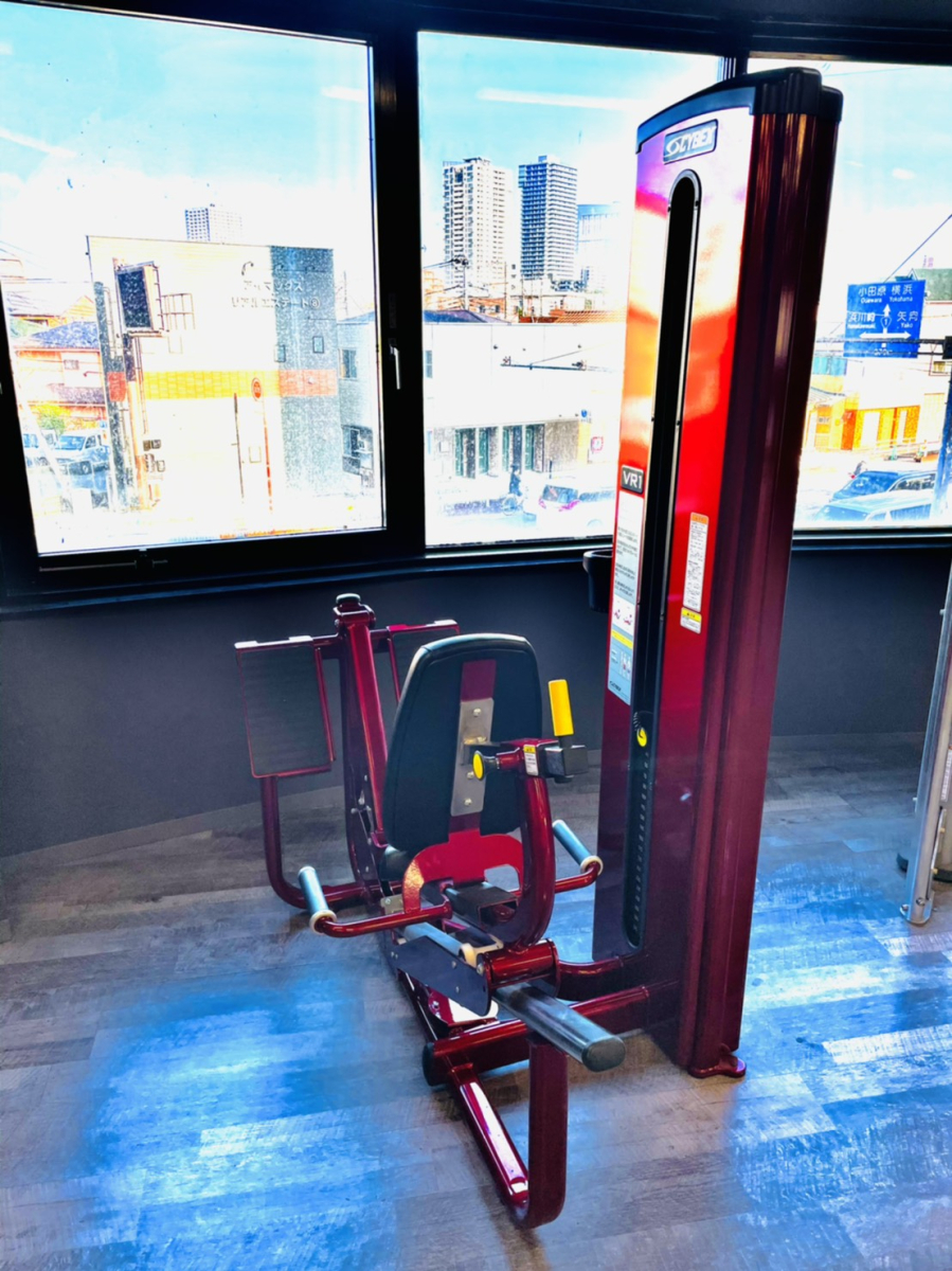 VR1 レッグプレス（中古）（CYBEX）-ジムガレージ