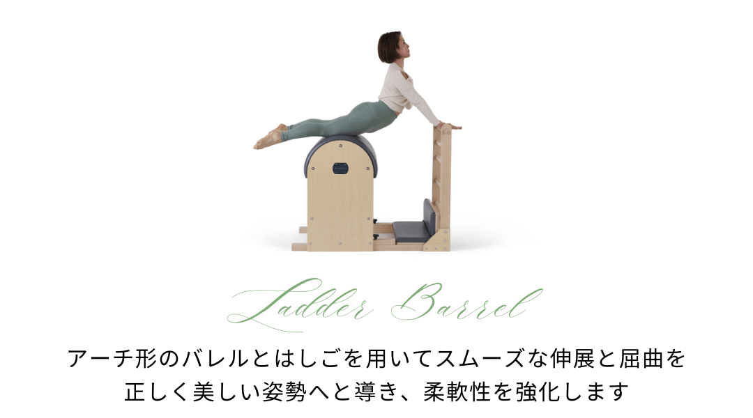 ラダーTOP.png?1732112755933 ラダーTOP.png?1732112755933